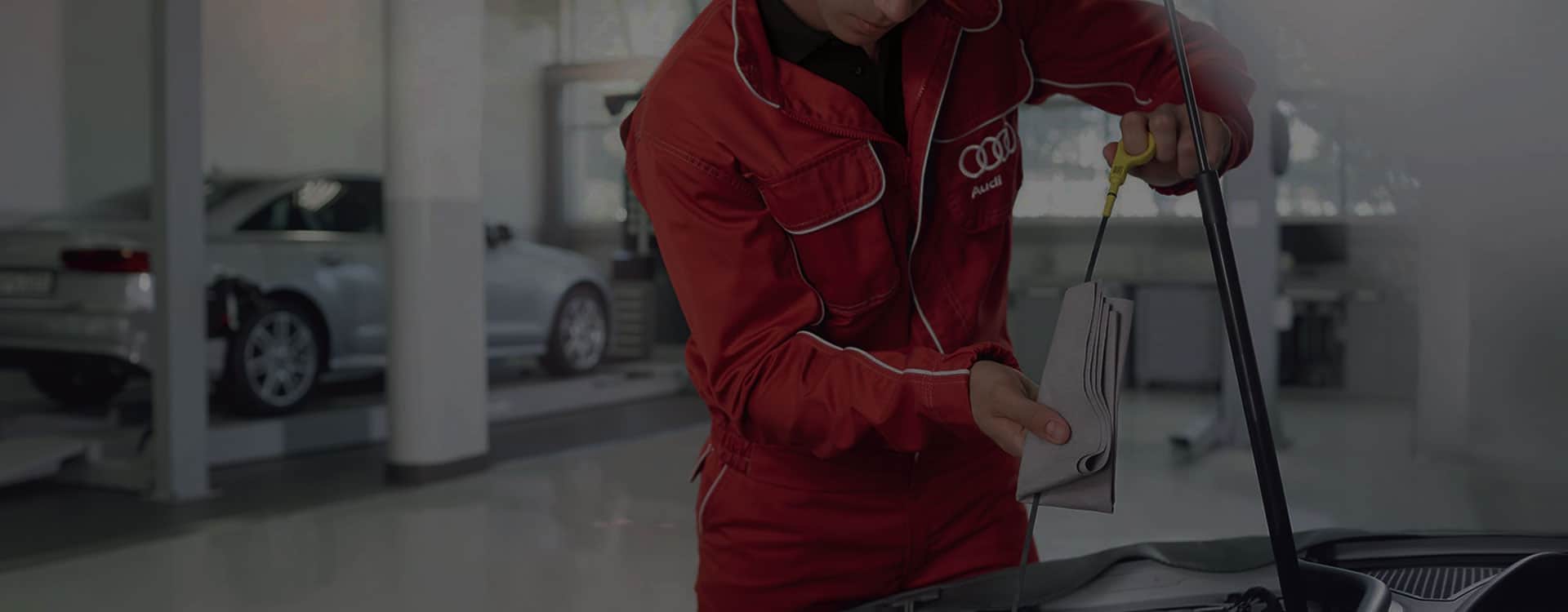 Audi Dealer Spotlight